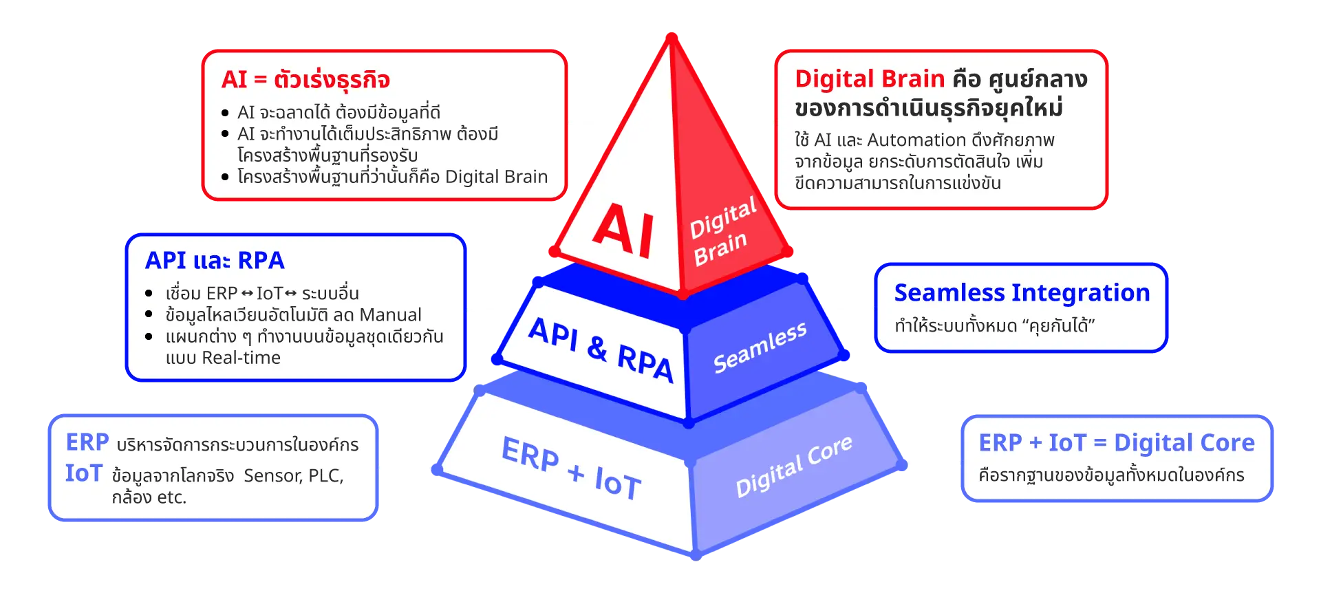 Digital Brain Prism info