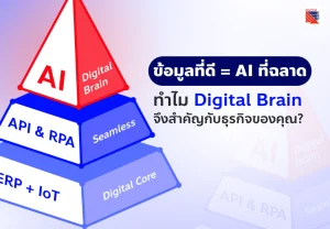 Digital Brain (cover)